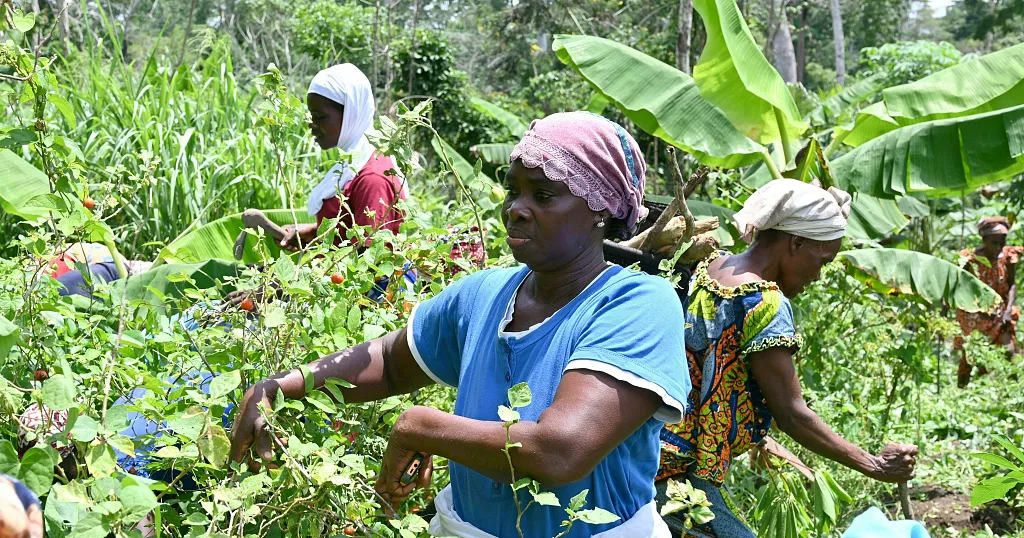 Ivory Coast: A government-led agricultural initiative to empower women and nourish communities